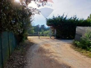 Terreno agricolo in vendita a piombino via stretta