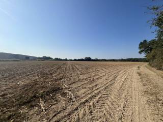 Terreno agricolo in vendita a turriaco via guglielmo marconi, 5