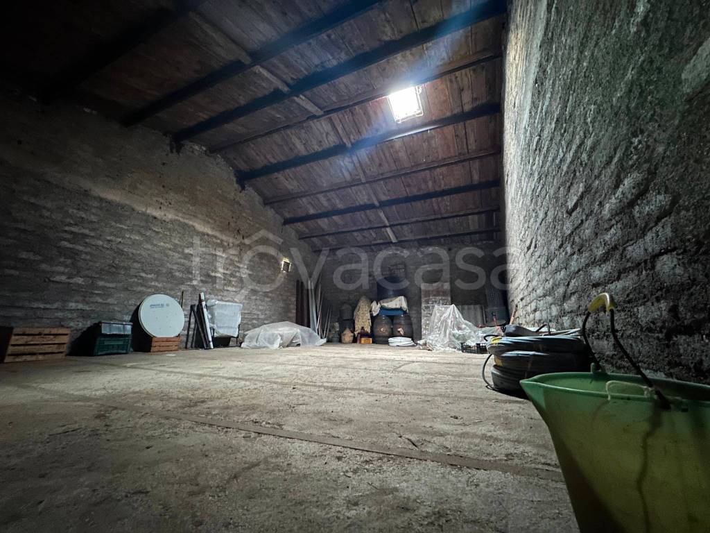 immagine annuncio 3 di 8