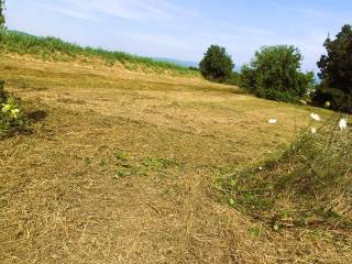 Terreno agricolo in vendita ad agliana via giacomo matteotti