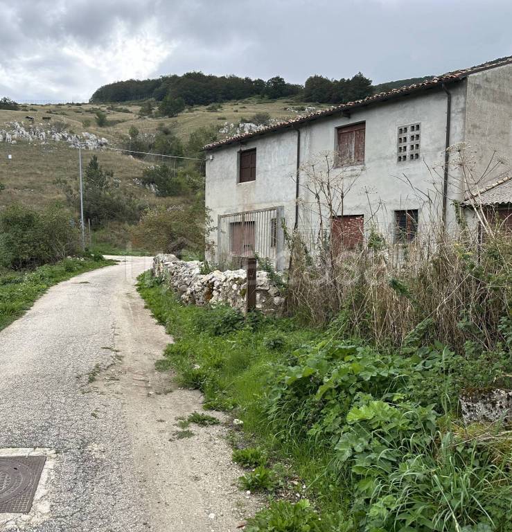 immagine annuncio 6 di 8