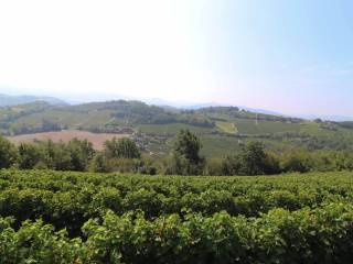 Terreno agricolo in vendita a montabone via san rocco