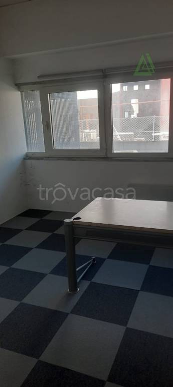 immagine annuncio 13 di 14