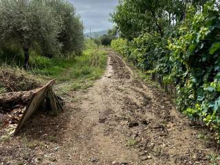 Terreno agricolo in vendita a prato 