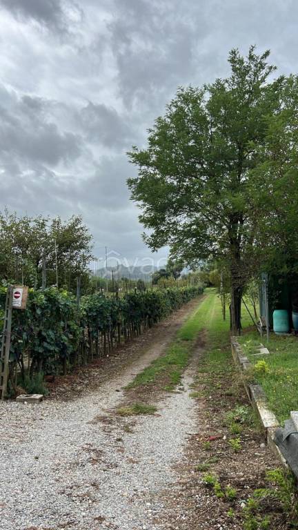 immagine annuncio 8 di 13