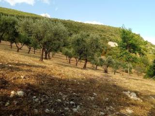 Terreno residenziale in vendita a salisano via tancia