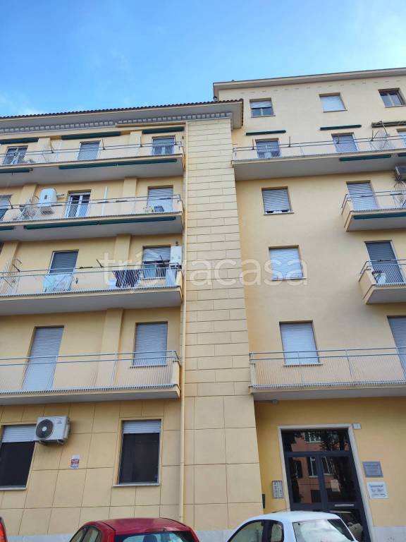 immagine annuncio 1 di 14