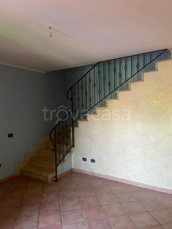 immagine annuncio 5 di 14