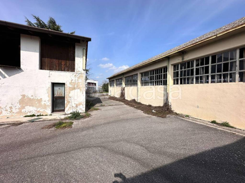 immagine annuncio 2 di 7