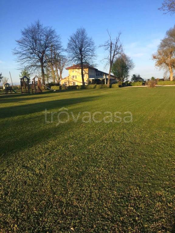 immagine annuncio 11 di 15