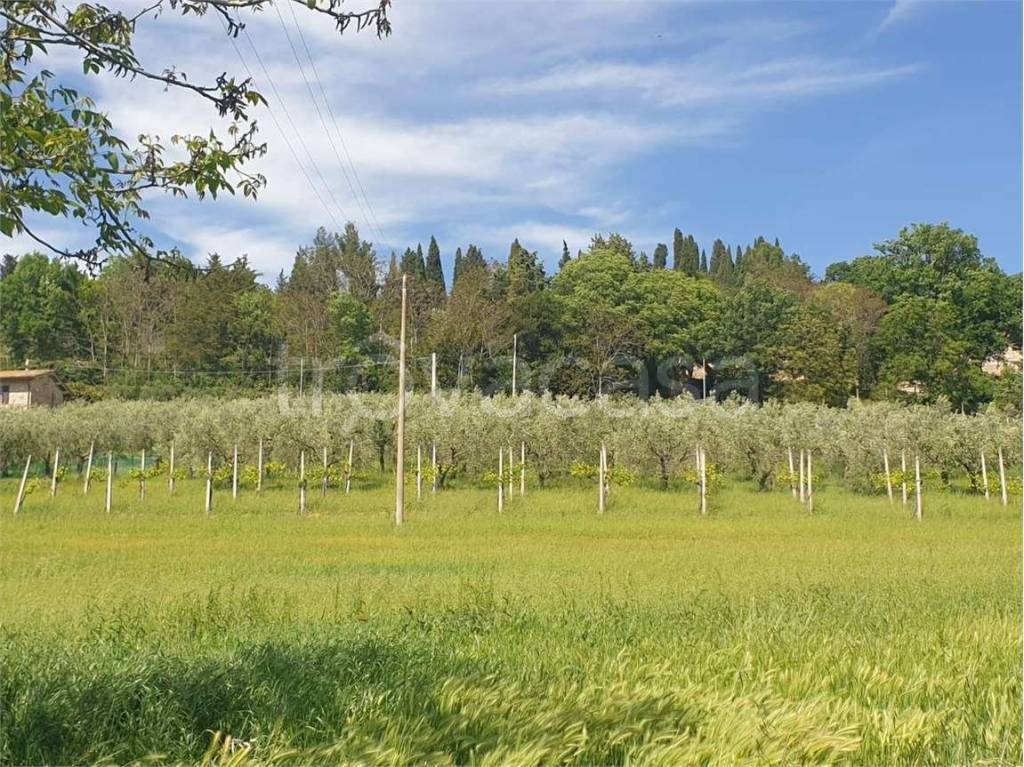 immagine annuncio 1 di 8
