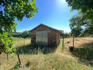 Terreno agricolo in vendita a manziana via canale