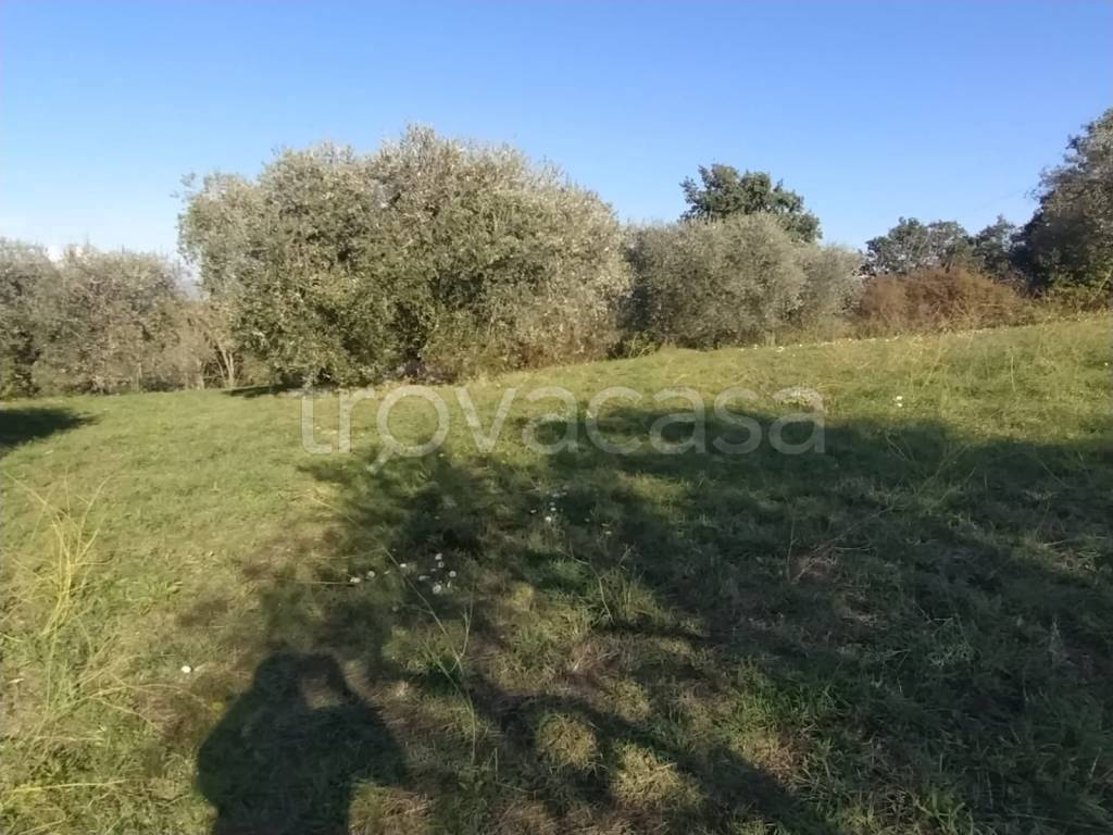 immagine annuncio 3 di 11