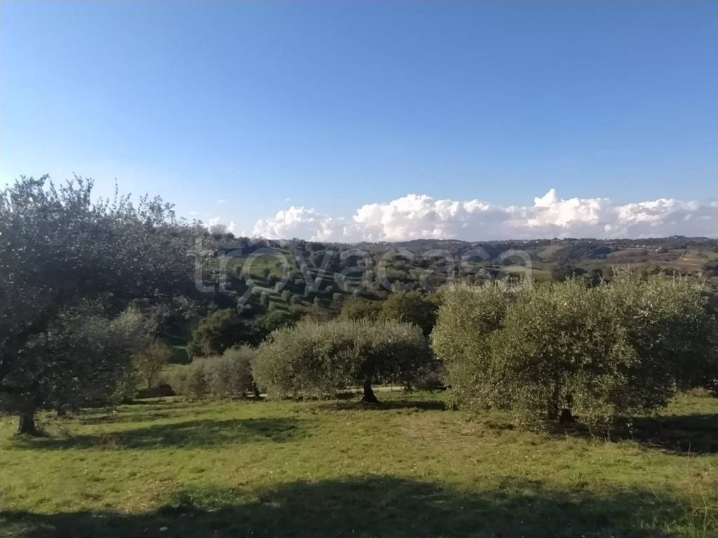immagine annuncio 4 di 11