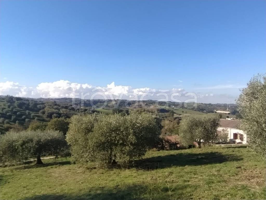 immagine annuncio 5 di 11