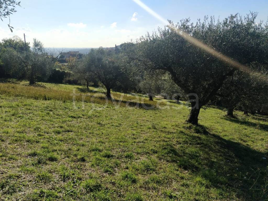 immagine annuncio 6 di 11