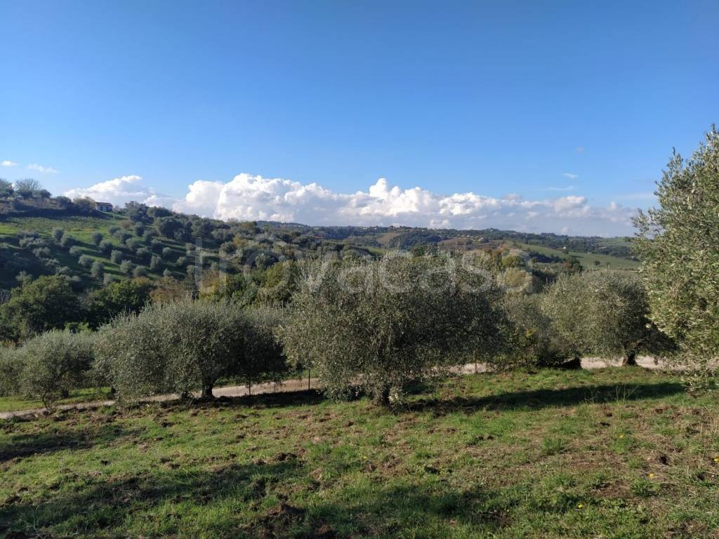immagine annuncio 9 di 11