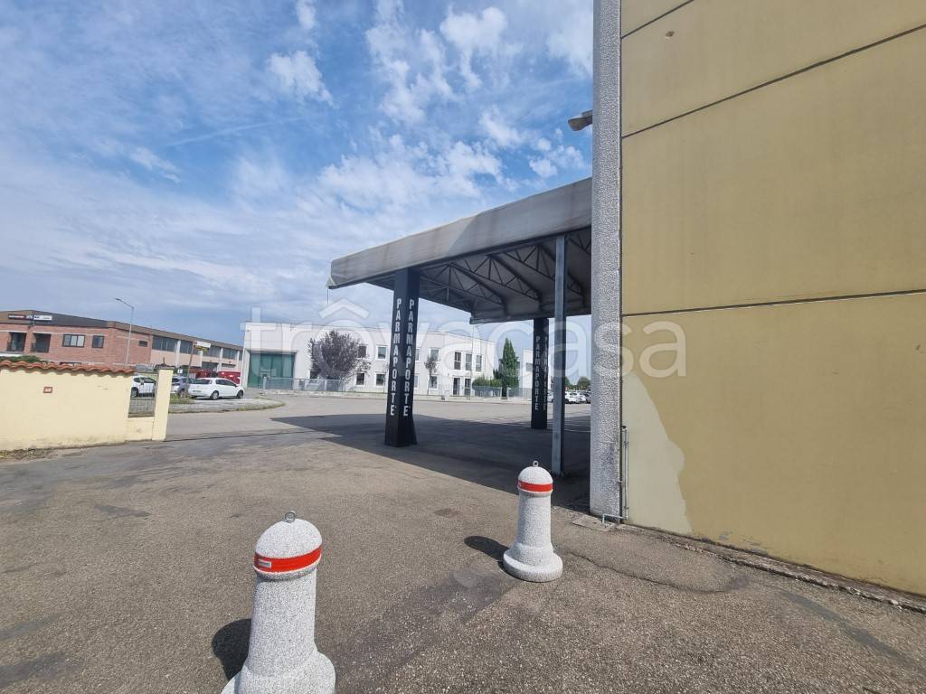 immagine annuncio 9 di 15