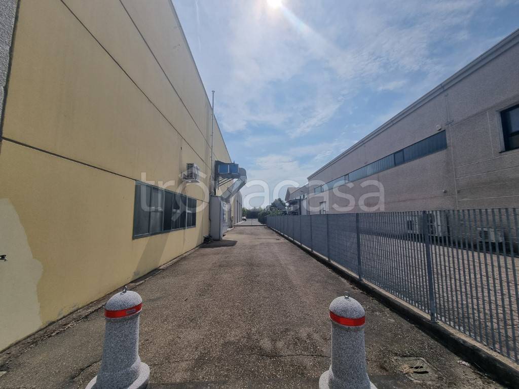 immagine annuncio 10 di 15