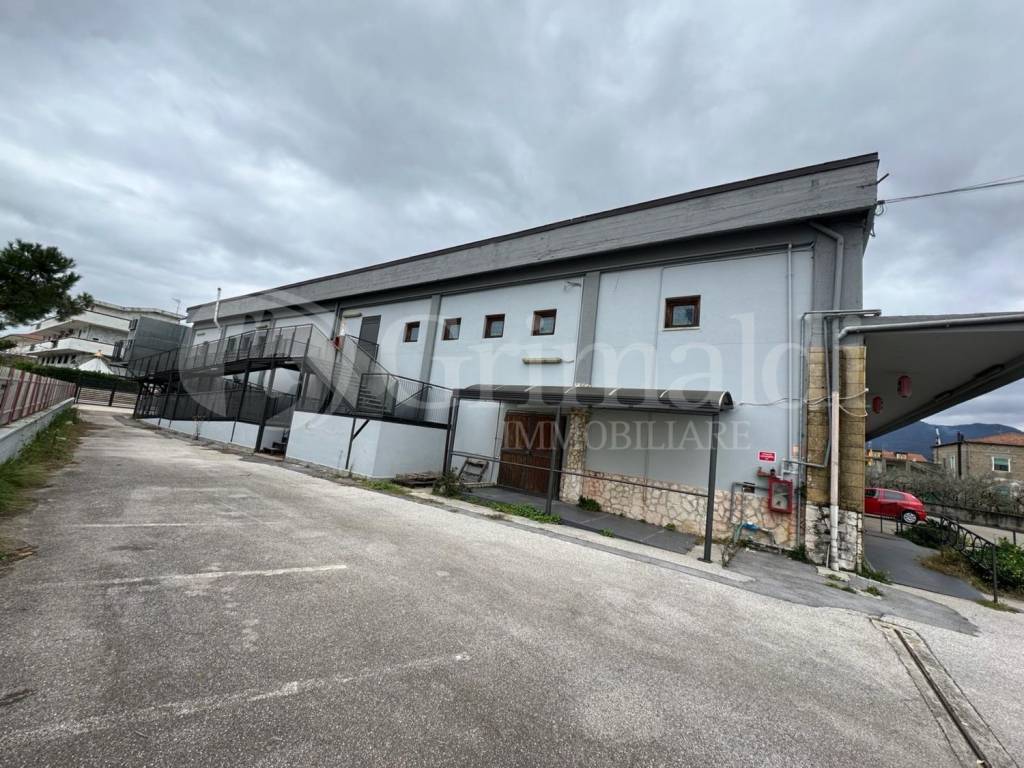 immagine annuncio 2 di 11