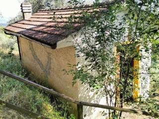 Terreno agricolo in vendita a massarosa corsanico