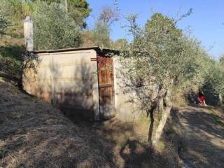 Terreno agricolo in vendita a massarosa corsanico