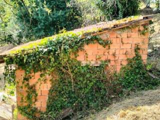 Terreno agricolo in vendita a massarosa bargecchia