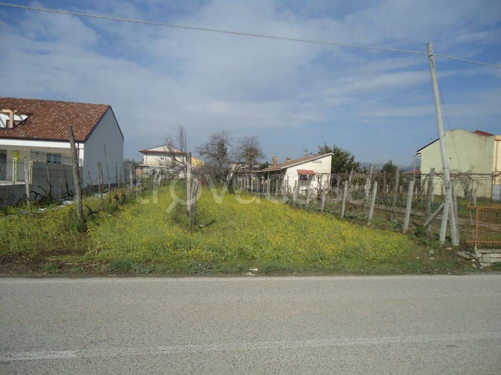 immagine annuncio 3 di 7