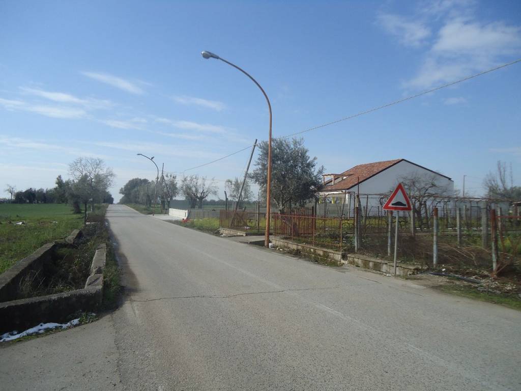 immagine annuncio 4 di 7