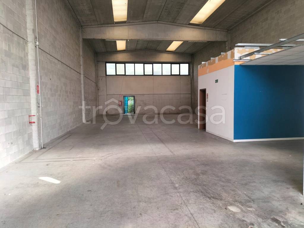 immagine annuncio 8 di 13