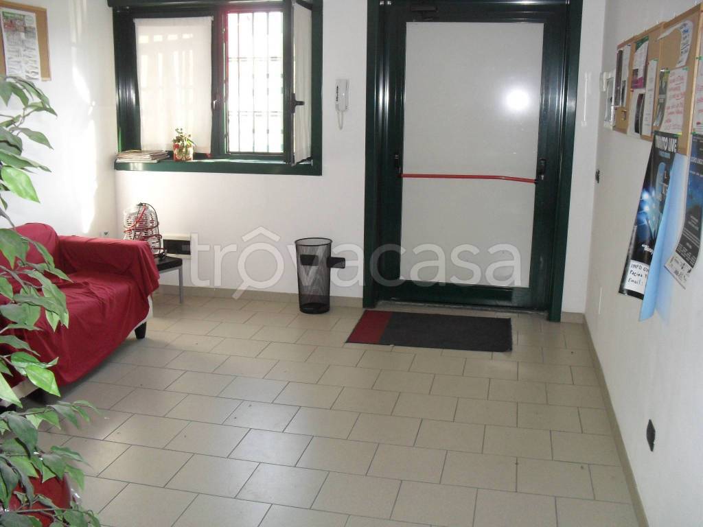 immagine annuncio 9 di 13