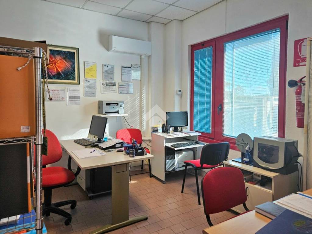 immagine annuncio 5 di 15