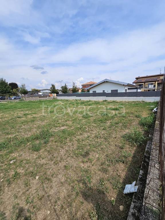 immagine annuncio 5 di 14