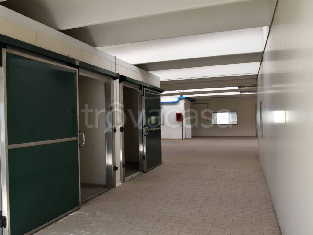 immagine annuncio 5 di 14