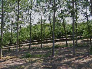 Terreno agricolo in vendita ad azzano d'asti via case sparse