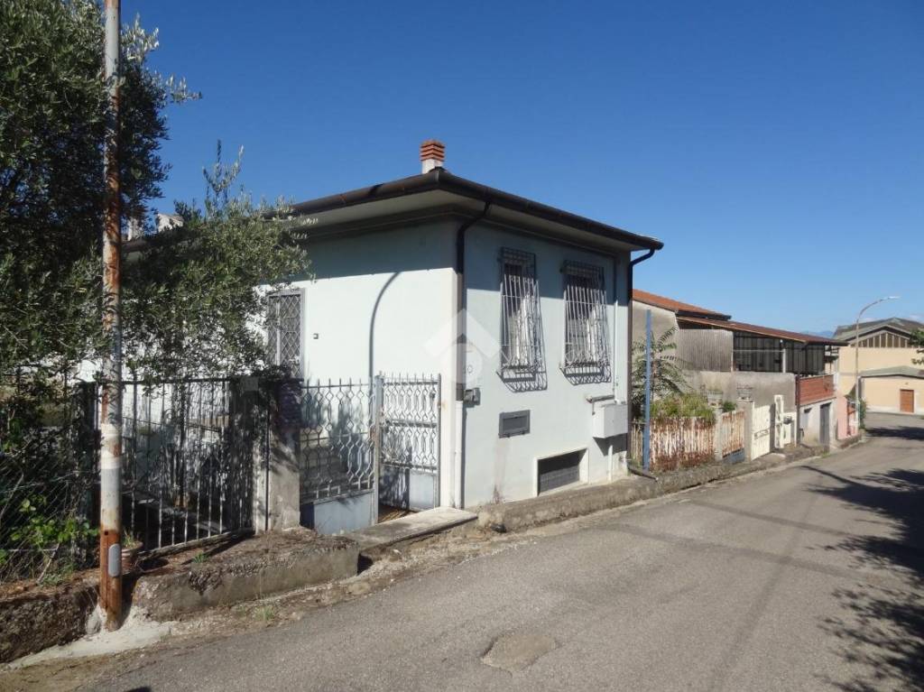immagine annuncio 2 di 14