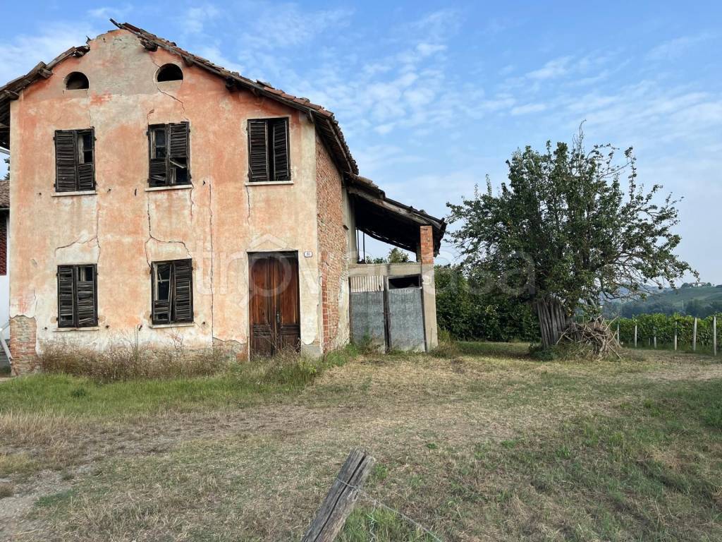 immagine annuncio 3 di 9