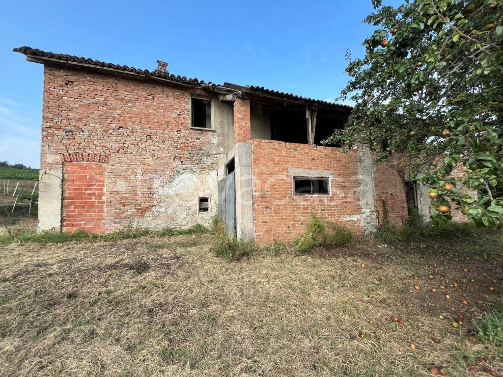immagine annuncio 4 di 9
