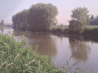 Terreno agricolo in vendita a ferrara via massafiscaglia