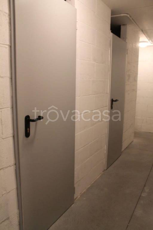 immagine annuncio 11 di 14