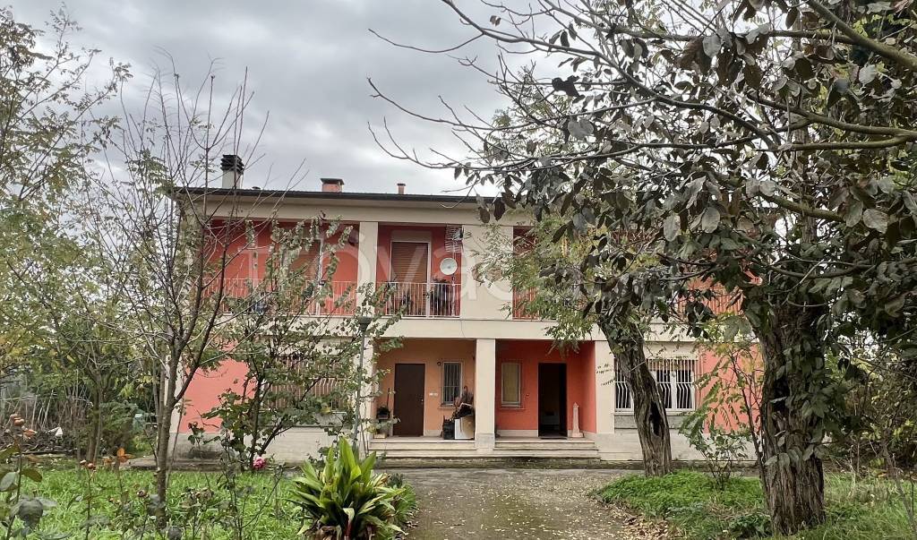 immagine annuncio 2 di 14