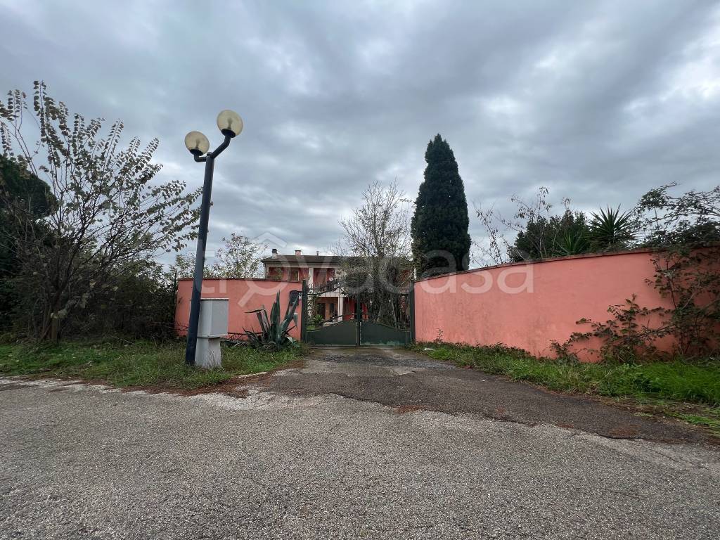 immagine annuncio 4 di 14