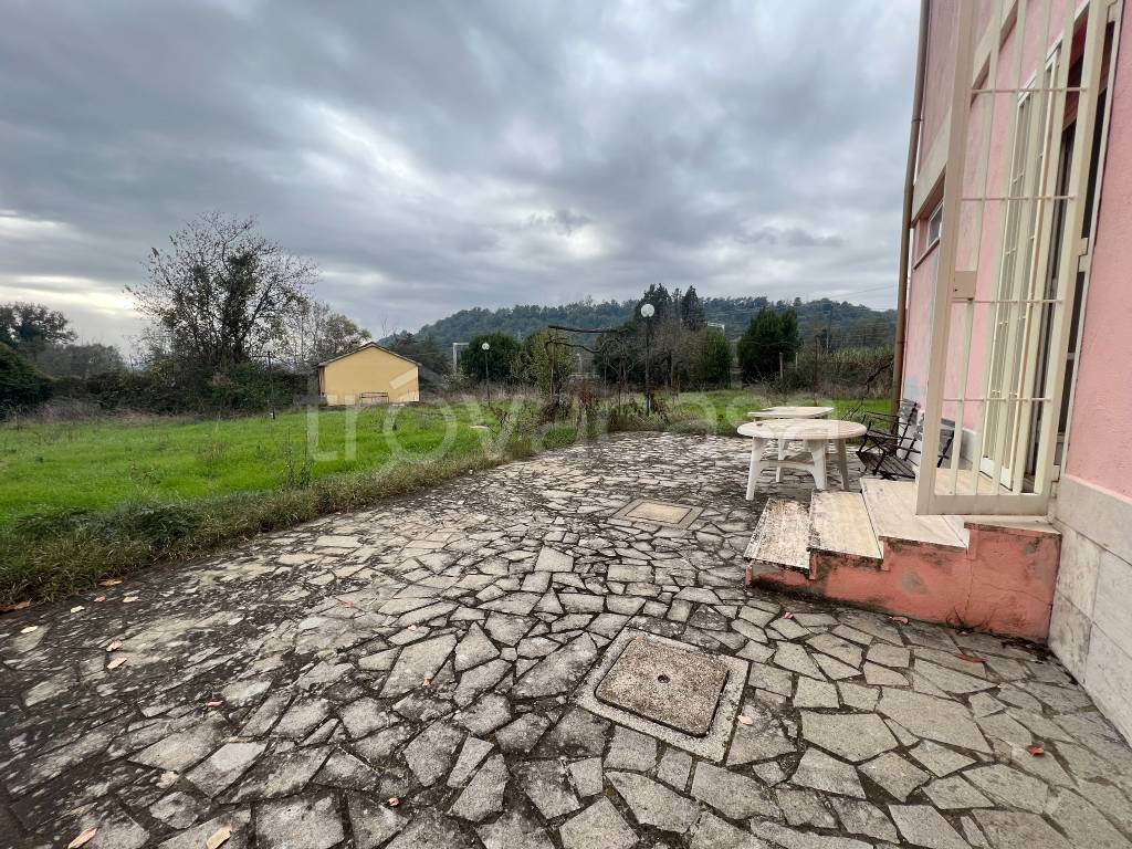 immagine annuncio 5 di 14