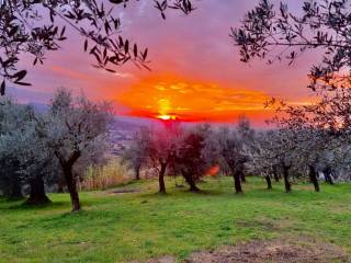 Terreno residenziale in vendita a broccostella via pignataro