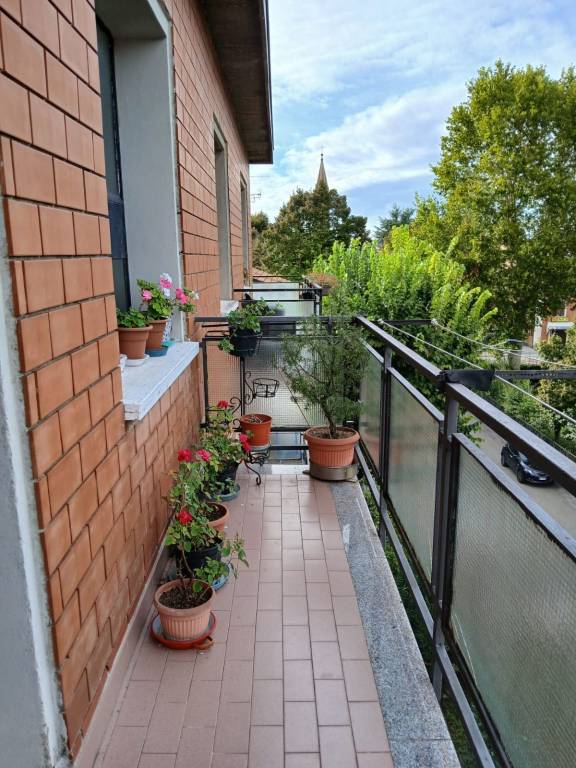 immagine annuncio 3 di 6