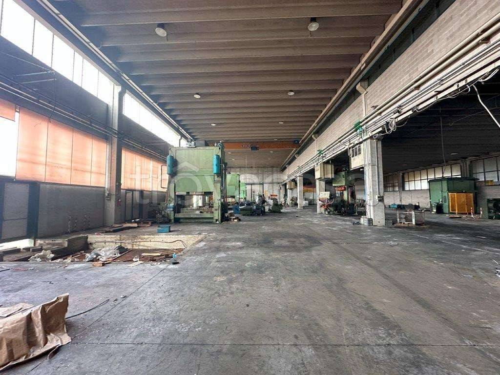 immagine annuncio 9 di 15