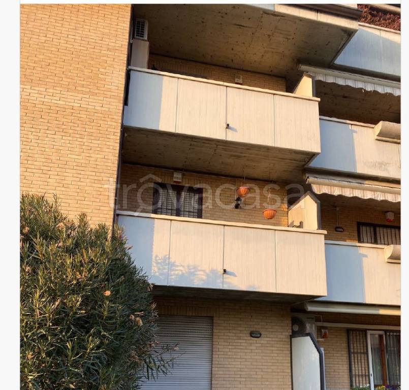 immagine annuncio 3 di 14