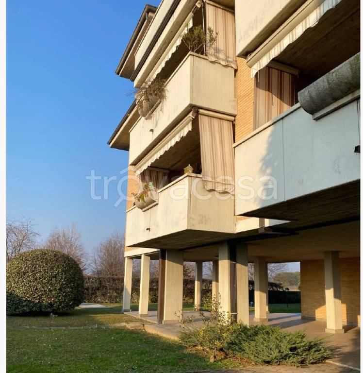 immagine annuncio 8 di 14