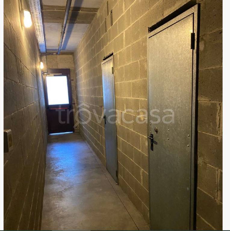 immagine annuncio 9 di 14