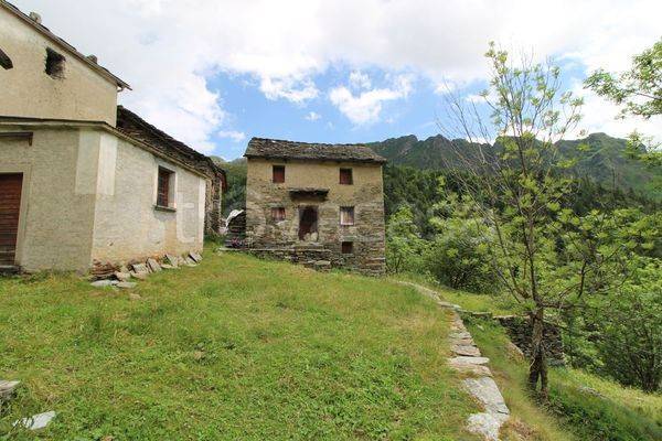 immagine annuncio 12 di 13